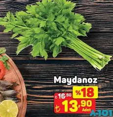 MAYDANOZ ADET MAYDANOZ ADET